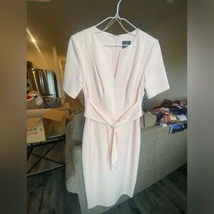 Adrianna Papell dress